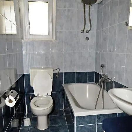 Buselic